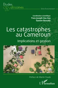 Les catastrophes au Cameroun_cover