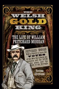 The Welsh Gold King_cover