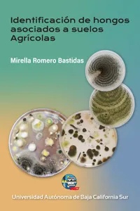 Identificación de hongos asociados a suelos agrícolas_cover