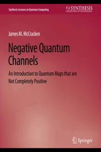 Negative Quantum Channels_cover