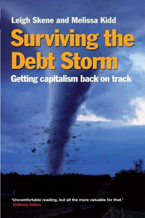 Surviving the Debt Storm