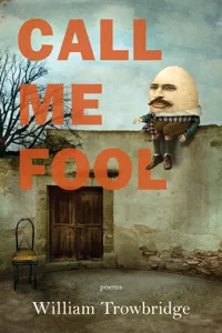 Call Me Fool_cover