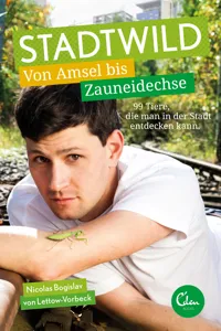 Stadtwild_cover