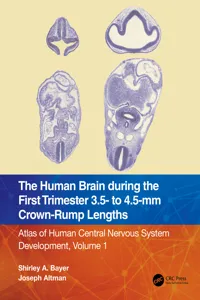 The Human Brain during the First Trimester 3.5- to 4.5-mm Crown-Rump Lengths_cover