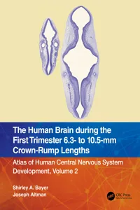 The Human Brain during the First Trimester 6.3- to 10.5-mm Crown-Rump Lengths_cover