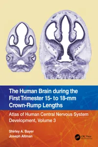 The Human Brain during the First Trimester 15- to 18-mm Crown-Rump Lengths_cover
