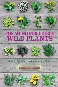 Foraging for Edible Wild Plants_cover