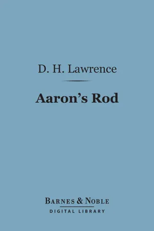 Aaron's Rod (Barnes & Noble Digital Library)