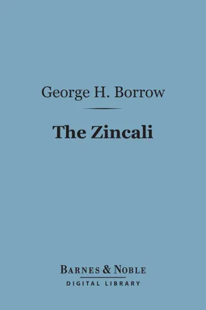 The Zincali (Barnes & Noble Digital Library)