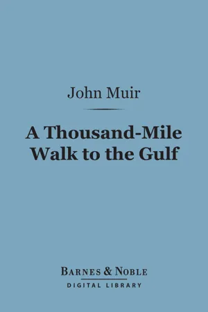 A Thousand-Mile Walk to the Gulf (Barnes & Noble Digital Library)