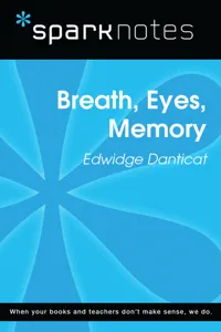 Breath, Eyes, Memory_cover