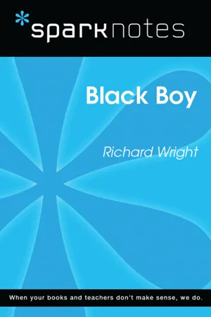 Black Boy (SparkNotes Literature Guide)