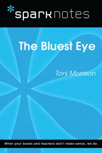 The Bluest Eye_cover