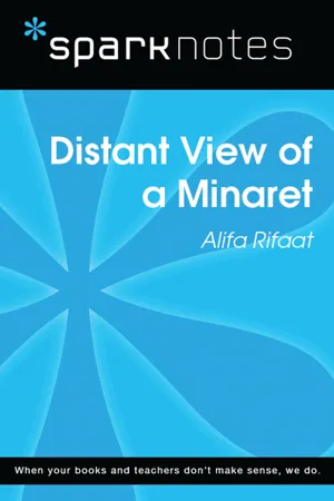 Distant View of a Minaret (SparkNotes Literature Guide)