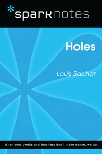 Holes_cover