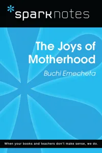 The Joys of Motherhood_cover