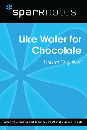 Like Water for Chocolate (SparkNotes Literature Guide)