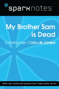 My Brother Sam is Dead_cover