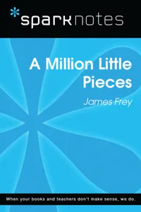 A Million Little Pieces_cover