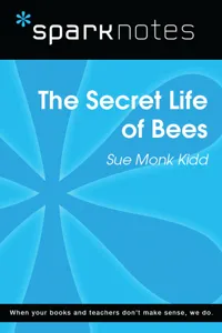 The Secret Life of Bees_cover