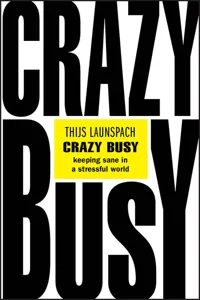 Crazy Busy_cover