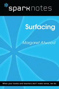 Surfacing_cover