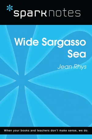 Wide Sargasso Sea (SparkNotes Literature Guide)
