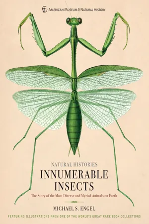 Innumerable Insects