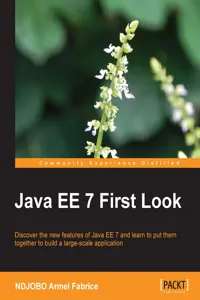 Java EE 7 First Look_cover