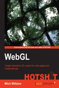 WebGL Hotshot_cover