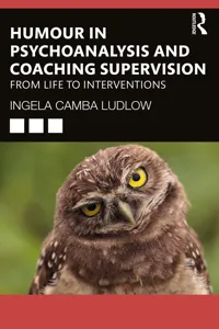 Humour in Psychoanalysis and Coaching Supervision_cover