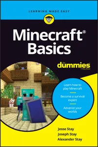 Minecraft Basics For Dummies_cover