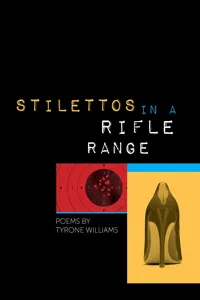 Stilettos in a Rifle Range_cover