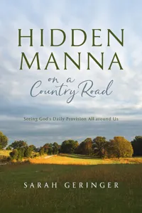 Hidden Manna on a Country Road_cover