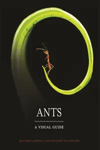 Ants_cover