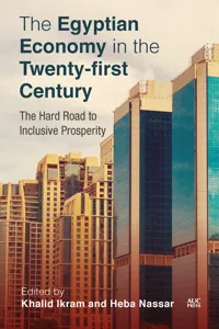 The Egyptian Economy in the Twenty-first Century_cover