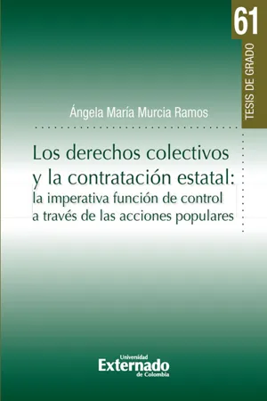 Los derechos colectivos y la contratación estatal: la imperativa función de control a través de las acciones populares