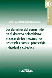 Los derechos del consumidor en el derecho colombiano: eficiencia de los mecanismos procesales para su protección individual y colectiva_cover