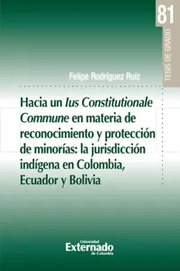 Hacia un lus Constitucionale Commune en materia de reconocimiento y protección de minorías: la jurisdicción indígena en Colombia, Ecuador y Bolivia_cover