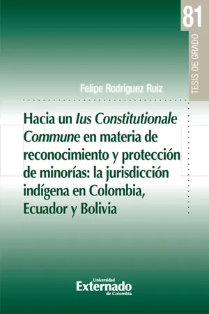 Hacia un lus Constitucionale Commune en materia de reconocimiento y protección de minorías: la jurisdicción indígena en Colombia, Ecuador y Bolivia