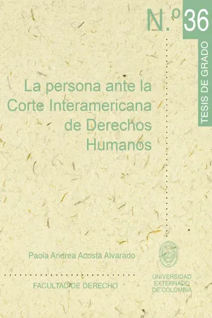 La persona ante la Corte Interamericana de Derechos Humanos