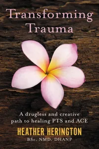 Transforming Trauma_cover