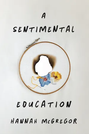 A Sentimental Education