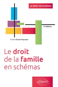 Le droit de la famille en schémas - 3e édition_cover