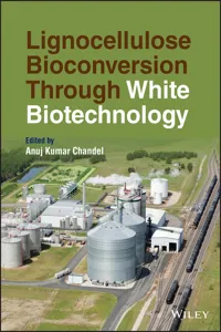 Lignocellulose Bioconversion Through White Biotechnology_cover