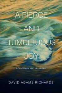 A Fierce and Tumultuous Joy_cover