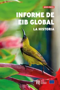 Informe de EIB Global: La historia_cover