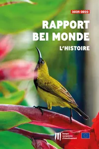 Rapport « BEI Monde – L'histoire »_cover