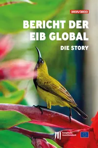 Bericht der EIB Global: Die Story_cover