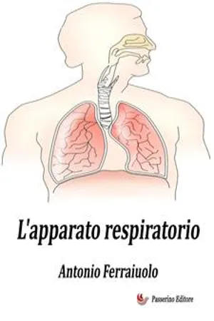 L'apparato respiratorio